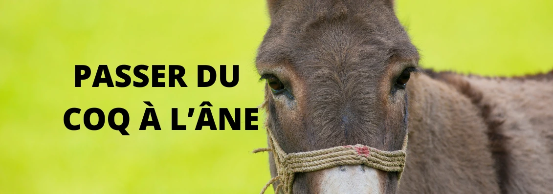 L'expression faire 2025 le coq
